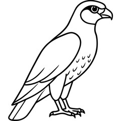 Minimal Falcon Vector