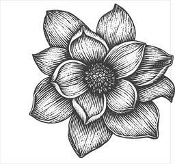 Vintage floral design illustration, design template vector