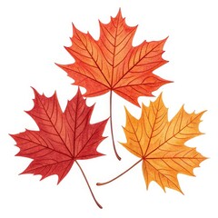 Obraz premium Watercolor Autumn Leaves Trio, fall , seasonal