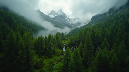 Green trees cover mountain valley. Fog hangs low near tall peaks. Small stream flows down through the forest.