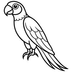 Minimalist Macaw Vector Art