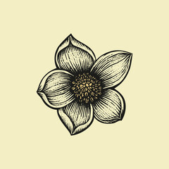 Rose flower hand drawn retro design illustration, vector design template