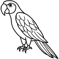 Fototapeta premium Minimalist Macaw Vector Art