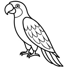 Obraz premium Minimalist Macaw Vector Art