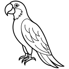Minimalist Macaw Vector Art