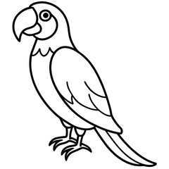 Minimalist Macaw Vector Art