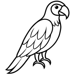 Obraz premium Minimalist Macaw Vector Art