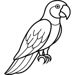 Minimalist Macaw Vector Art