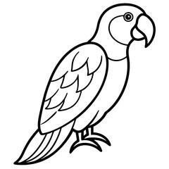 Minimalistic Parrot Vector Design