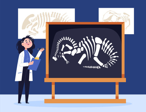 scientist examining dinosaur skeleton on display clip art preview