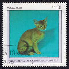 Abyssinian cat is depicted on an old vintage cancelled postage stamp printed in Guinea.