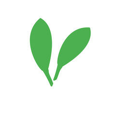 Two Organic Hand-drawn green leaves illustration art