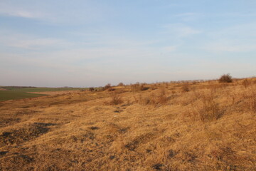 A field with dry grass and a blue sky