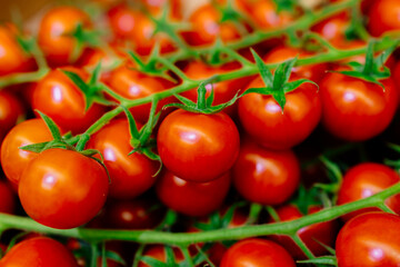 A close-up of fresh, juicy tomatoes. Nutrition concepts, shopping and recipes.