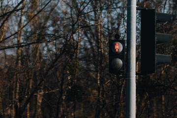 red pedestrian traffic light in a forested urban setting