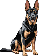 Belgian Malinois dog vector illustration white background