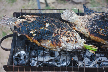 Grilled tilapia on a grill that is being grilled