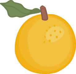 Whole Orange Illustration