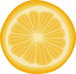 A Slice of Orange Illustration