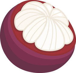 Half Peeled Mangosteen Illustration