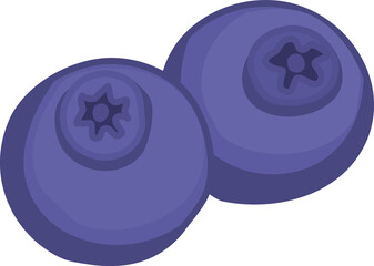 Two Blueberries Illustration