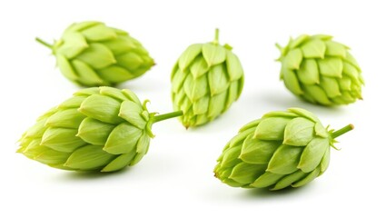 Fototapeta premium Collection of hop cones isolated on a white background