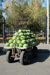 lots of striped green watermelons on a cart on the street