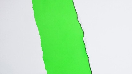 animated of torn paper texture background , 4K transition footage on green screen - Powered by Adobe