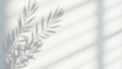 Leaves and shadow overlay effect of a window pane on a white background