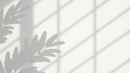 Leaves and shadow overlay effect of window pane on a white background.