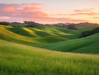 Obraz premium Lush Green Rolling Hills at Sunset with Soft Pink and Orange Sky Reflecting Tranquility and Natural Beauty in an Idyllic Landscape
