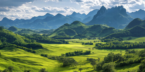 Obraz premium misty forest landscape, showcasing the natural beauty of a dense evergreen forest surrounded by rolling hills.