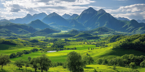 Obraz premium misty forest landscape, showcasing the natural beauty of a dense evergreen forest surrounded by rolling hills.