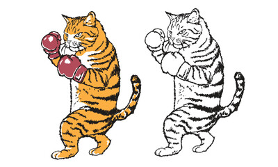 Pet design. Boxing club artwork. Cat boxing academy graphic print design for apparel, stickers, posters and background.