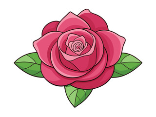 Fototapeta premium pink rose isolated on white