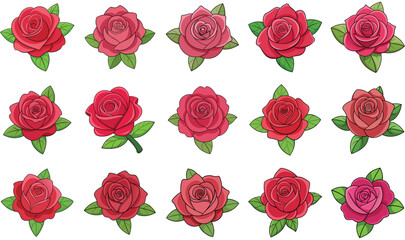seamless pattern of red roses