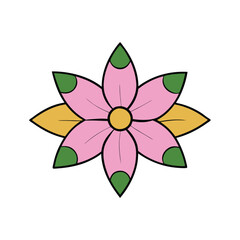 kadam flower vector illustration on white background.