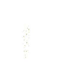 matcha powder