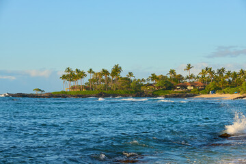Idyllic Hawaii beach at sunset: golden hour paradise with palm trees, ocean waves, and tranquil coast.