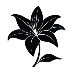 lily flower vector silhouette