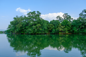 Fototapeta premium 湖に映る緑豊かな木々の風景