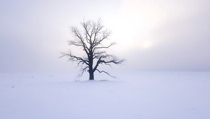 lonely tree in the snow