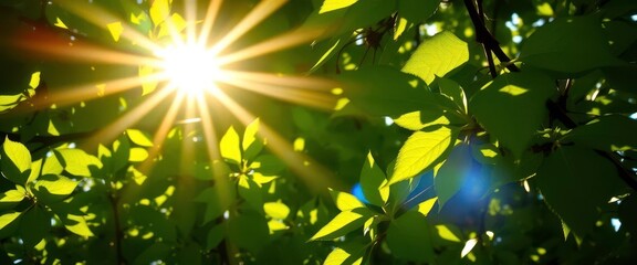 Sunlight dapples vibrant green leaves, close-up detail, wallpaper, foliage