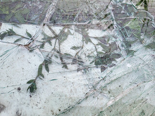 Broken and damaged glass is lying on the green spring grass for recycling