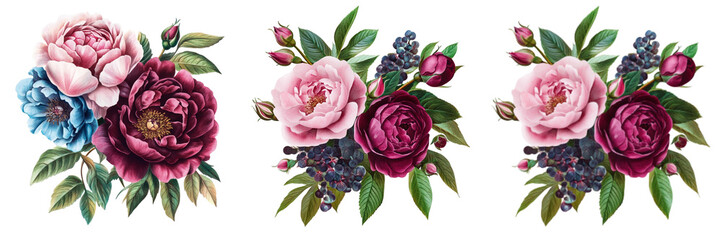 Set of a close up of flowers, Pink roses and maroon peony with green and blue isolated on a transparent background