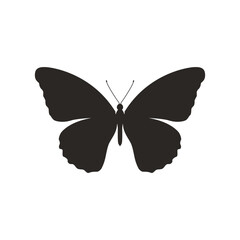 Simple black butterfly silhouette