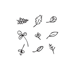 Vector illustration plants and flowers in doodle technique