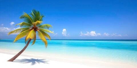 Obraz premium Lone palm tree leaning over a pristine, white sand beach, turquoise water visible, sea, peaceful