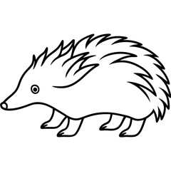 One-Line Echidna Simple Vector Art