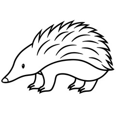 One-Line Echidna Simple Vector Art